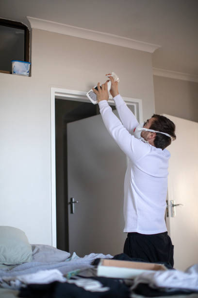 Best Emergency Mold Remediation  in Manassas, VA