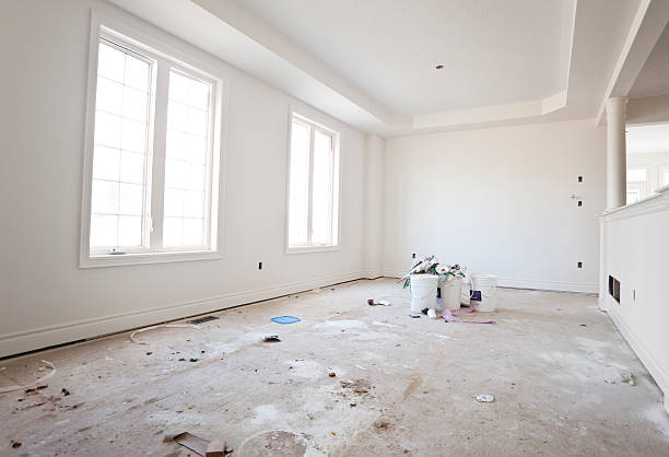 Manassas, VA Mold Removal Company